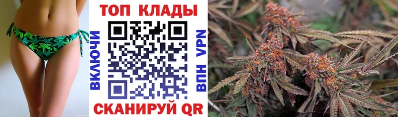 Цена Шенкурск Марихуана  КОКАИН  СК  OMG как зайти  Меф мяу мяу 