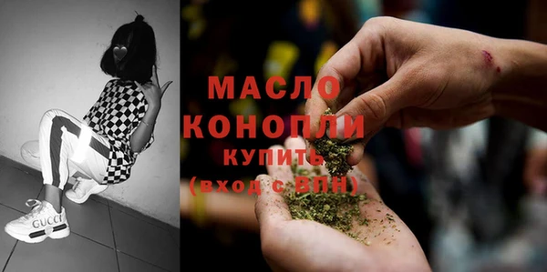 сатива Сатка