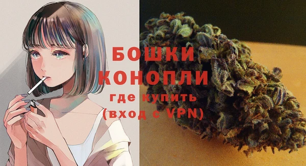 ECSTASY Сафоново