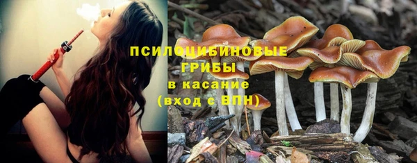 эйфоретик Беломорск