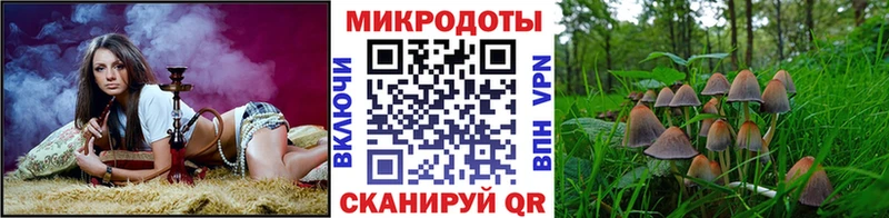mega как войти  Шенкурск  Псилоцибиновые грибы Magic Shrooms 