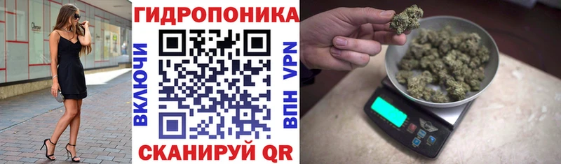 darknet формула  blacksprut сайт  Шенкурск  Шишки марихуана планчик 